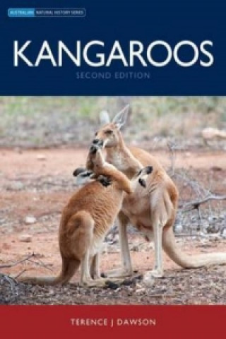 Buch Kangaroos Terence J Dawson