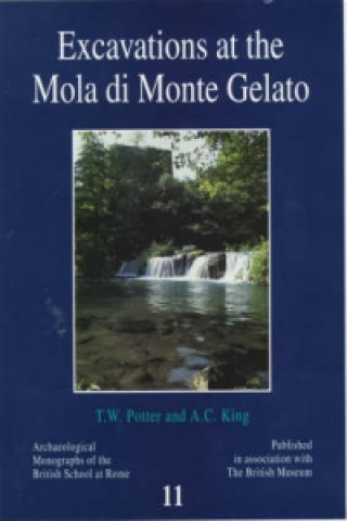 Könyv Excavations at the Mola di Monte Gelato T W Potter