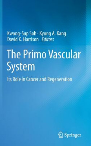 Kniha Primo Vascular System Kyung A Kang