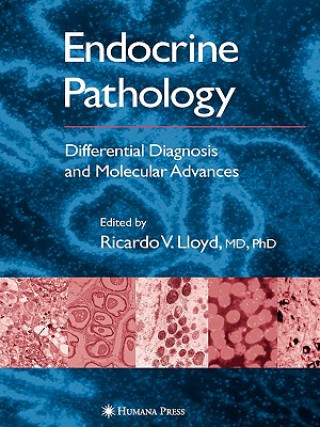 Kniha Endocrine Pathology Ricardo V Lloyd