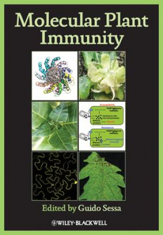 Книга Molecular Plant Immunity Guido Sessa