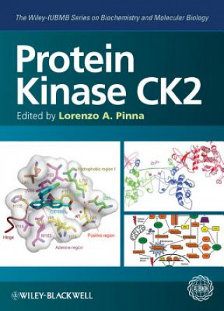 Könyv Protein Kinase CK2 (The Wiley-IUBMB Series on Biochemistry and Molecular Biology) Lorenzo A Pinna