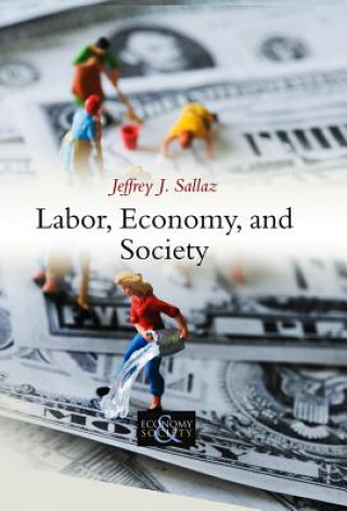 Buch Labor, Economy, and Society Jeffrey J Sallaz