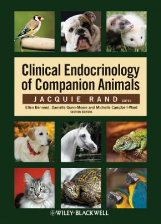 Книга Clinical Endocrinology of Companion Animals Jacquie Rand