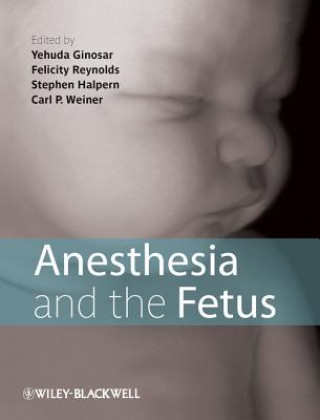 Könyv Anesthesia and the Fetus Yehuda Ginosar