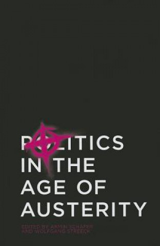 Buch Politics in the Age of Austerity Wolfgang Streeck