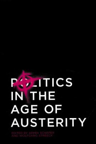 Buch Politics in the Age of Austerity Wolfgang Streeck