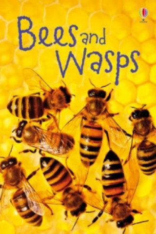 Kniha Bees and Wasps James Maclaine