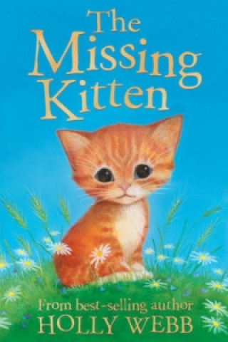 Könyv Missing Kitten Holly Webb