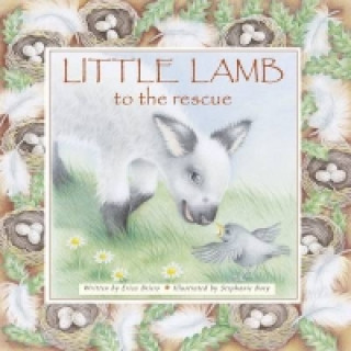 Kniha Little Lamb to the Rescue Erica Briers