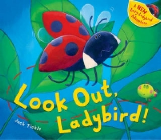 Carte Look Out, Ladybird! Jack Tickle