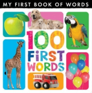 Kniha My First Book of Words: 100 First Words Little Tiger Press