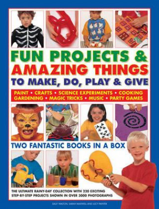 Livro Fun Projects & Amazing Things to Make, Do, Play & Give Sally Walton