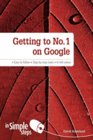 Kniha Getting to No1 on Google in Simple Steps David Amerland