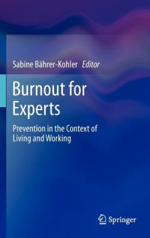 Kniha Burnout for Experts Bahrer Kohler