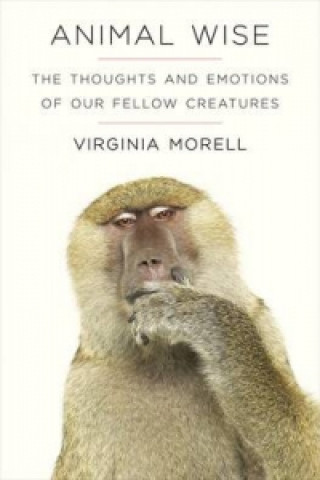 Knjiga Animal Wise Virginia Morell