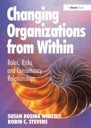 Kniha Changing Organizations from Within Susan Whittle