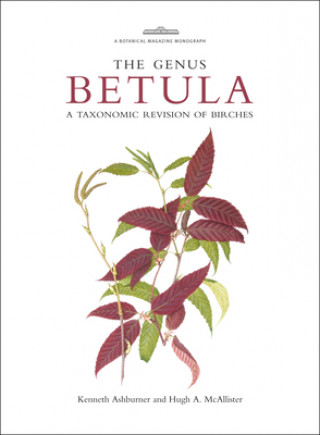 Kniha Botanical Magazine Monograph: The Genus Betula Kenneth Ashburner