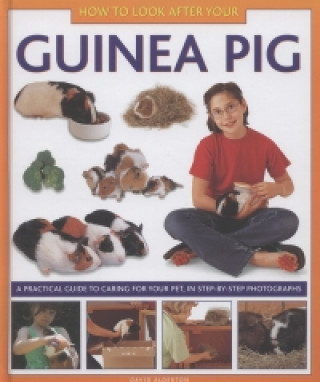 Kniha How to Look After Your Guinea Pig David Alderton
