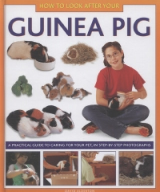 Buch How to Look After Your Guinea Pig David Alderton