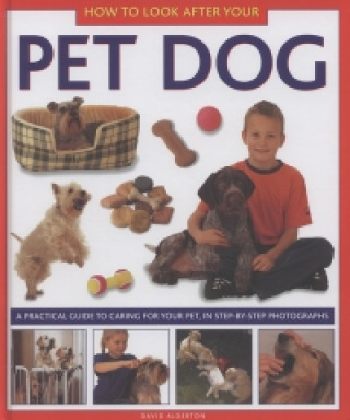 Kniha How to Look After Your Pet Dog David Alderton