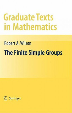Carte Finite Simple Groups Robert Wilson