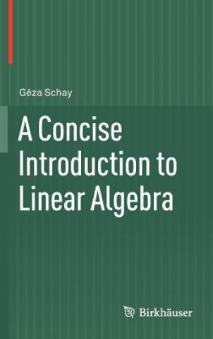 Kniha Concise Introduction to Linear Algebra Geza Schay