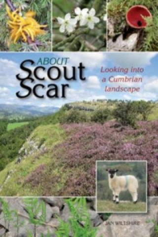 Libro About Scout Scar Jan Wiltshire