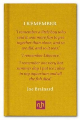 Kniha I Remember Joe Brainard