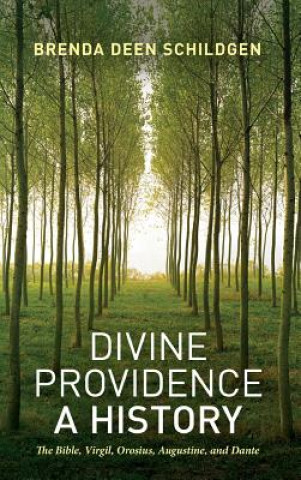 Könyv Divine Providence: A History Brenda Deen Schildgen