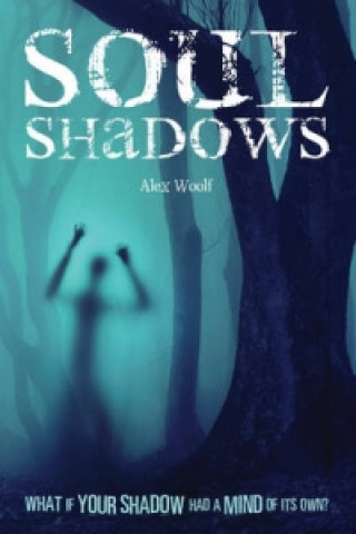 Könyv Soul Shadows Alex Woolf