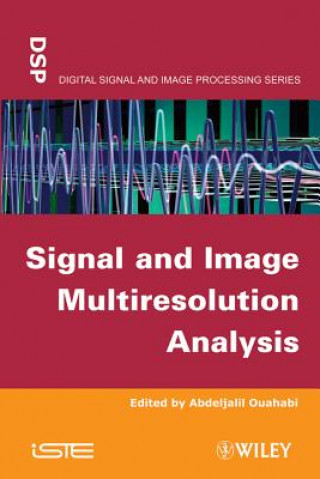 Knjiga Signal and Image Multiresolution Analysis A Ouahabi