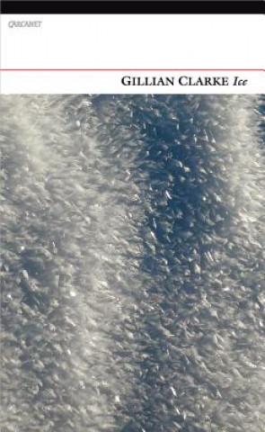 Book Ice Gillian Clarke