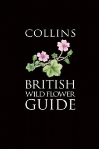 Carte Collins British Wild Flower Guide David Streeter