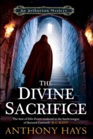 Kniha Divine Sacrifice Anthony Hays