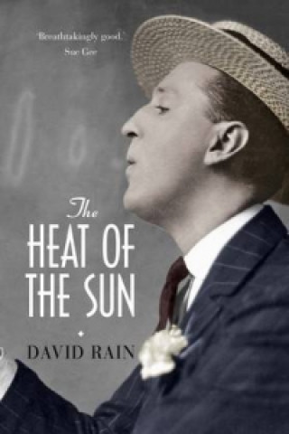Kniha Heat of the Sun David Rain