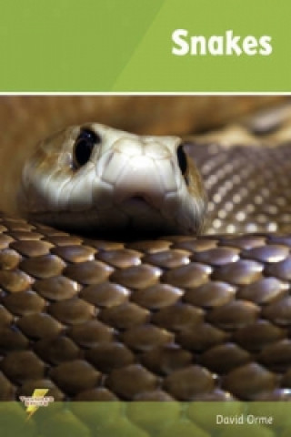 Könyv Snakes David Orme