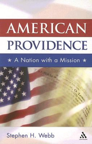 Kniha American Providence Stephen H Webb