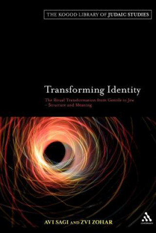 Kniha Transforming Identity Avi Sagi