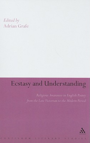 Könyv Ecstasy and Understanding Adrian Grafe