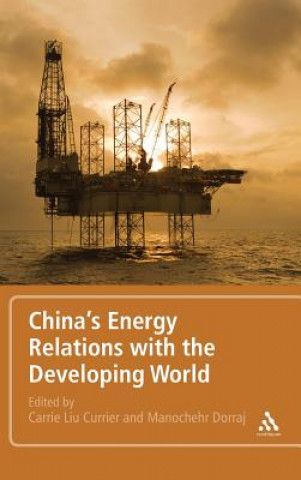 Kniha China's Energy Relations with the Developing World Carrie Liu Currier