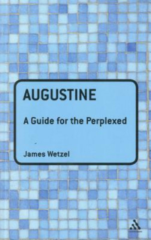 Könyv Augustine: A Guide for the Perplexed James Wetzel