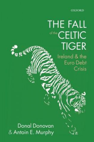 Livre Fall of the Celtic Tiger Donal Donovan