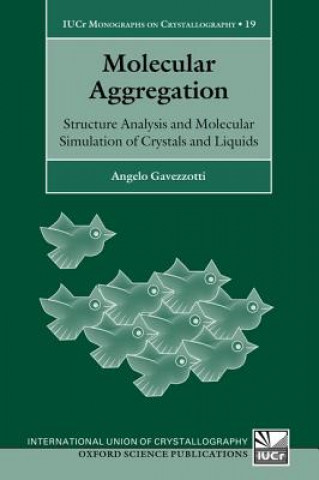 Kniha Molecular Aggregation Angelo Gavezzotti