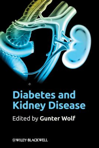 Livre Diabetes and Kidney Disease Gunter Wolf