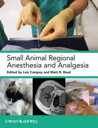 Könyv Small Animal Regional Anesthesia and Analgesia Luis Campoy