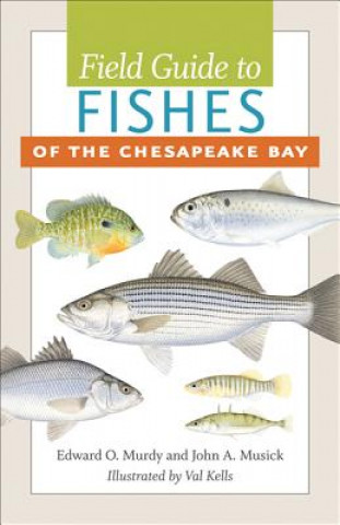 Könyv Field Guide to Fishes of the Chesapeake Bay Edward O Murdy