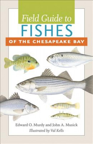 Książka Field Guide to Fishes of the Chesapeake Bay Edward O Murdy