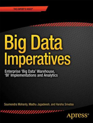 Kniha Big Data Imperatives S Mohanty