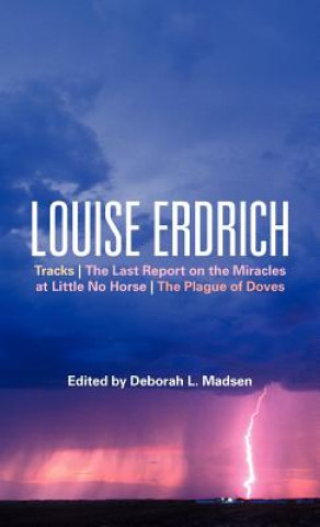 Knjiga Louise Erdrich Deborah L Madsen